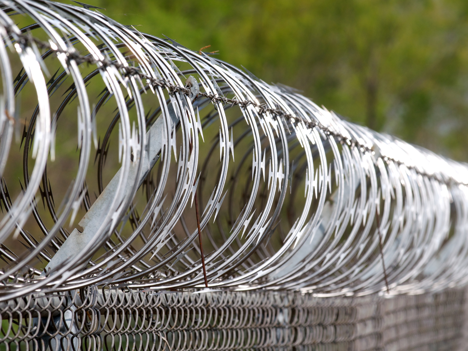 Electrified Concertina Coils